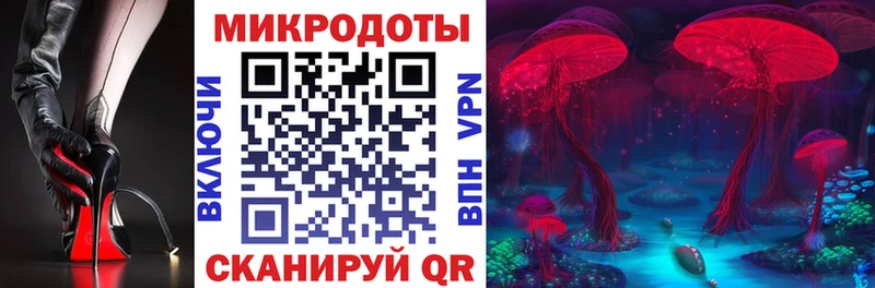 Галлюциногенные грибы GOLDEN TEACHER Новочебоксарск